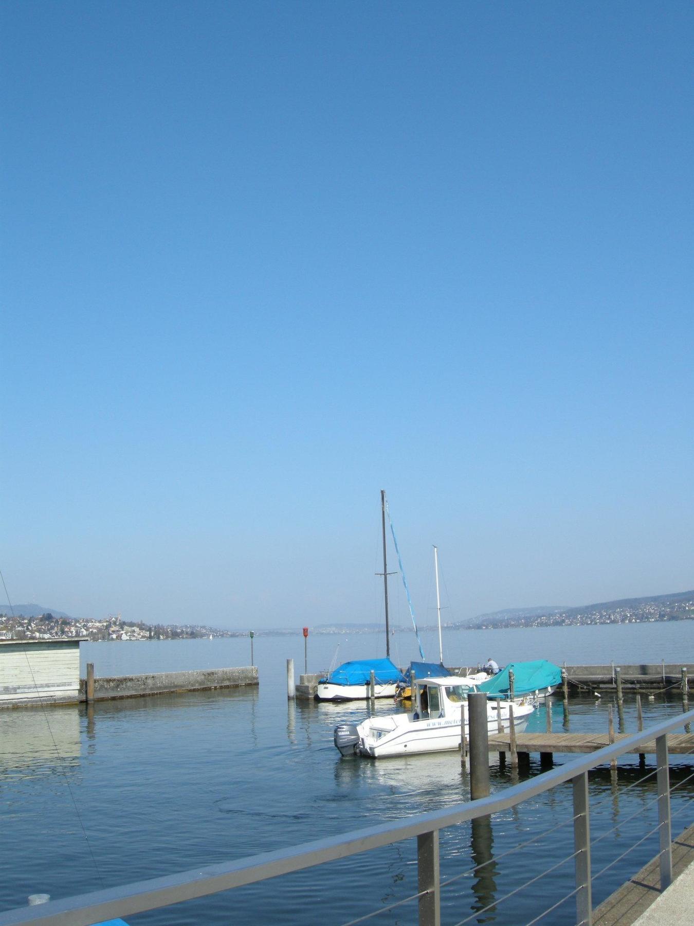 Hotel Meierhof Horgen Exterior photo